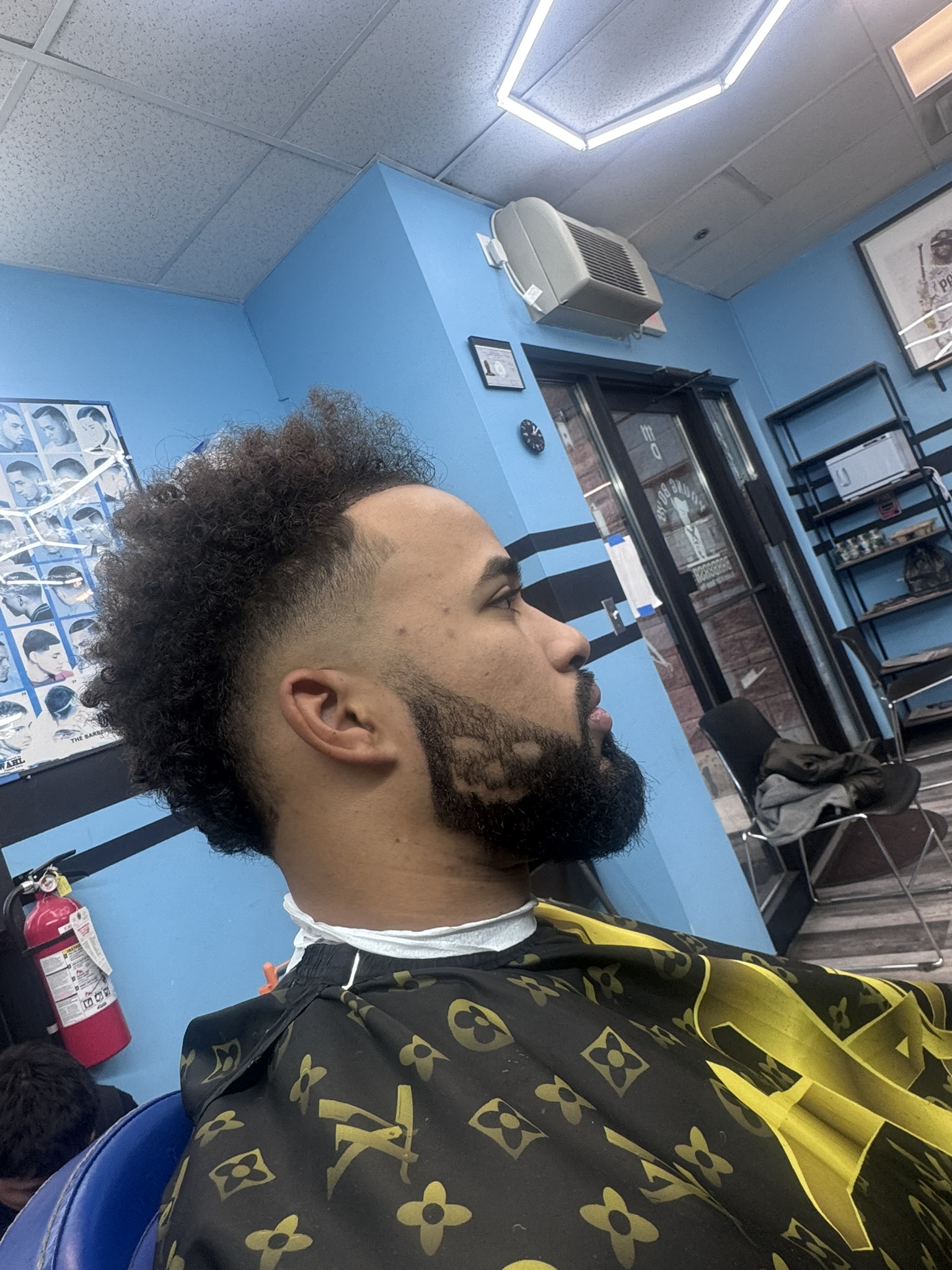Curly top shape up